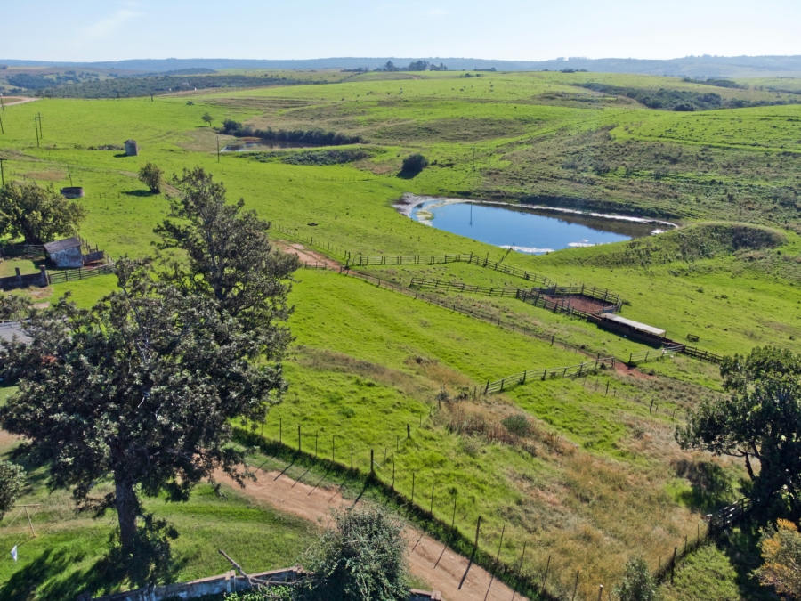 5 Bedroom Property for Sale in East London Rural Eastern Cape